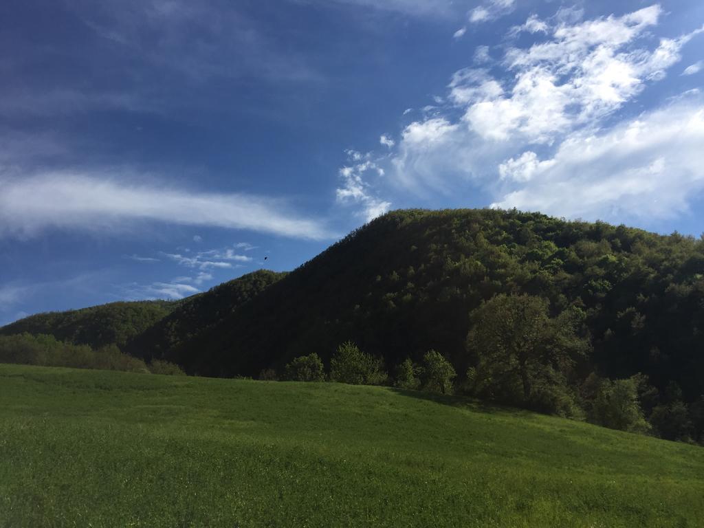 Agriturismo La Ferraia Pianello  Εξωτερικό φωτογραφία