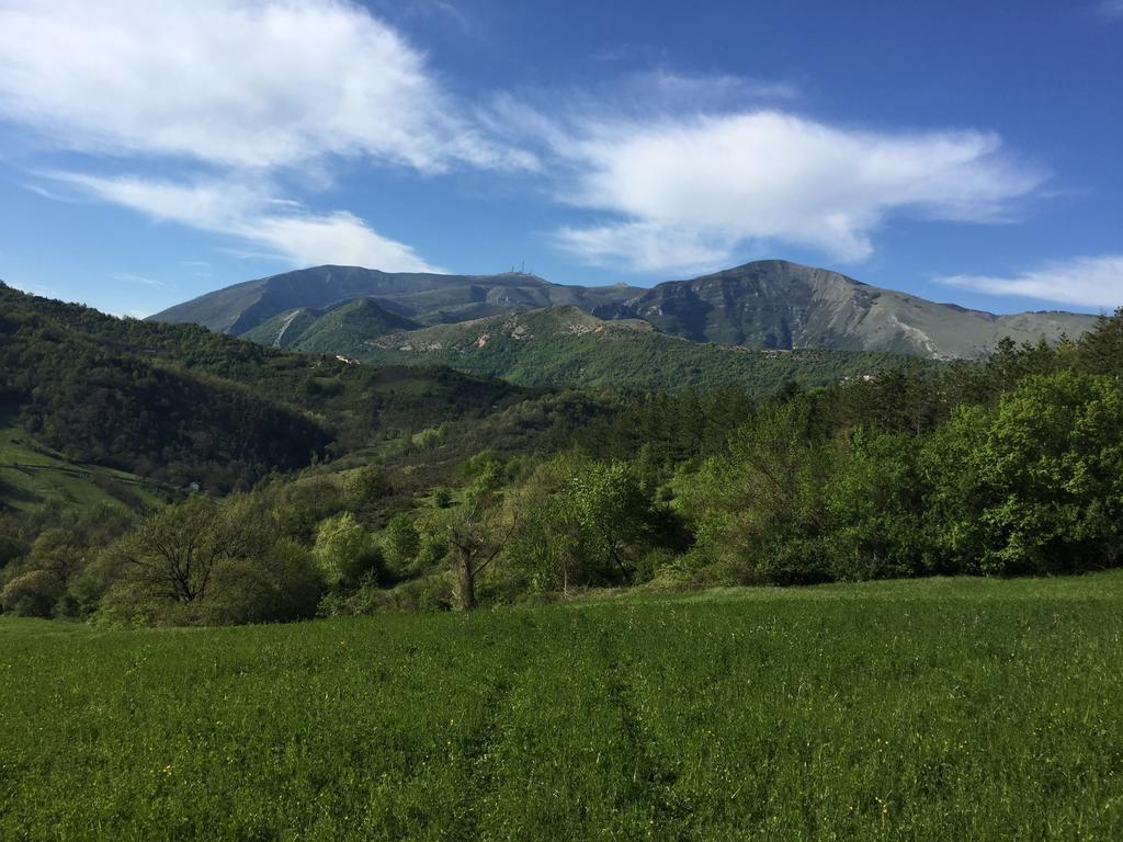 Agriturismo La Ferraia Pianello  Εξωτερικό φωτογραφία