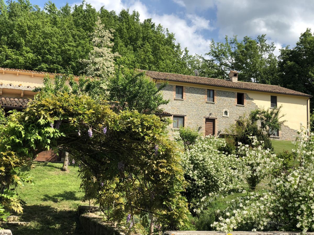 Agriturismo La Ferraia Pianello  Εξωτερικό φωτογραφία
