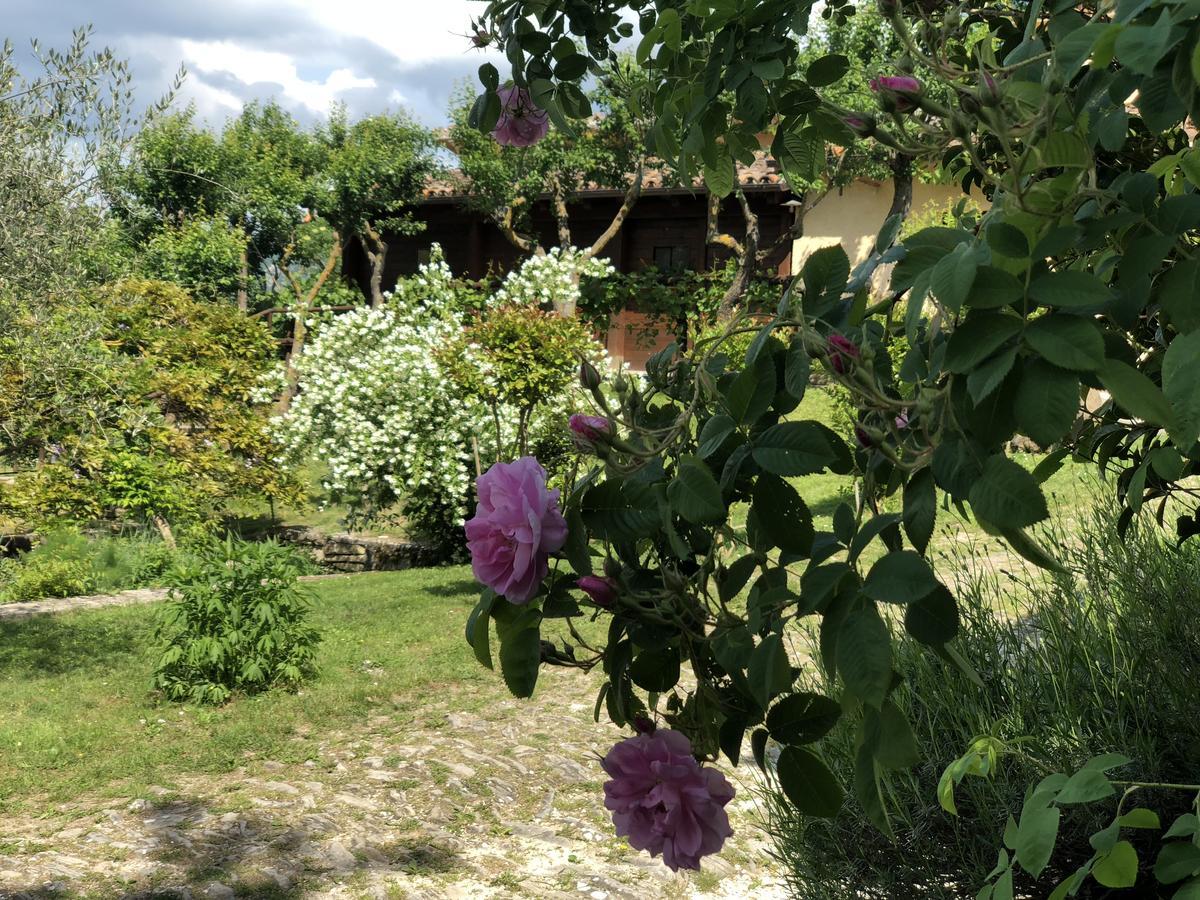 Agriturismo La Ferraia Pianello  Εξωτερικό φωτογραφία